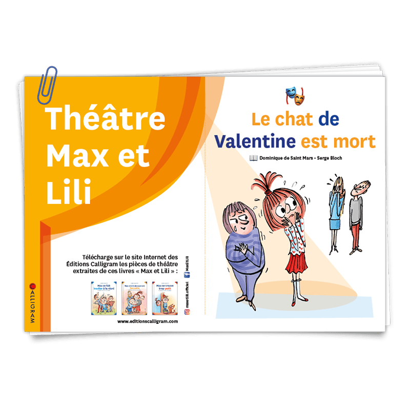 Fiche théâtre - Le chat de Valentine est mort